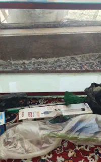 آکواریوم