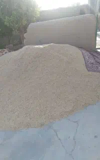 دو تن جو