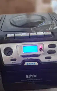 ضبط