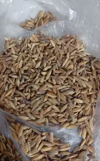 شلتوک شلب