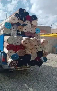 کارخانه قالیشویی پاکسان 100%تضمینی (حمل رایگان)