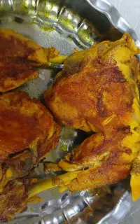 چلوکوبیده مرغ و چلوجوجه فقط فقط ۲۰۰