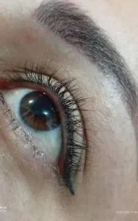 ابرو و مژه