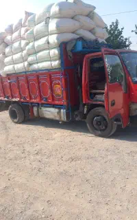 کاه فروشی تازه ودرجه یک