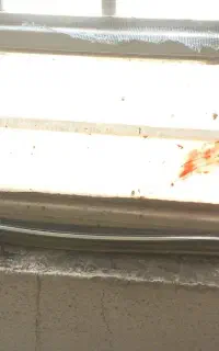 قطعه