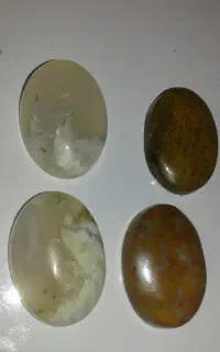 4عدد نگین شجرطبیعی (پاییزی،شجرزمینه شیری)