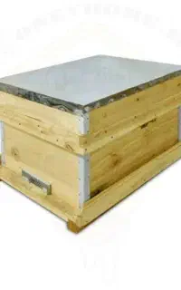 20عدد کندو رنگ شده