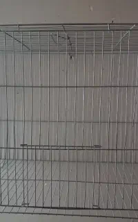 قفس جفت خون