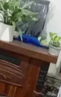سرکتاب بی هزینه