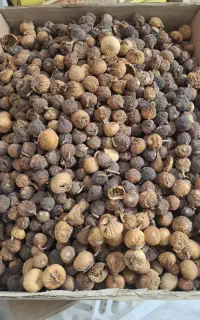 فروش انجیر  ضایعات