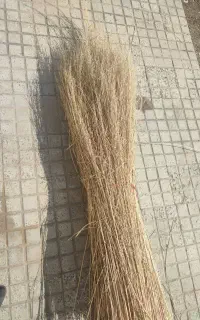 جارو شهرداری