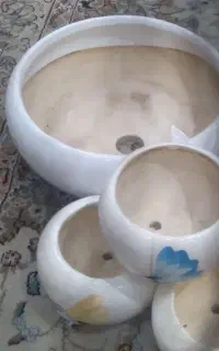 گلدان