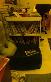 کتابخانه/قفسه کتاب