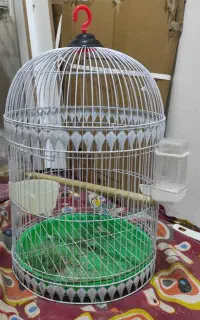 قفس پرنده