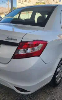 ساینا معمولی