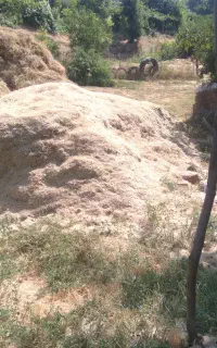 علوفه فروشی