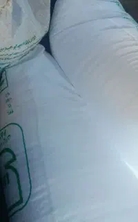 کودسفید