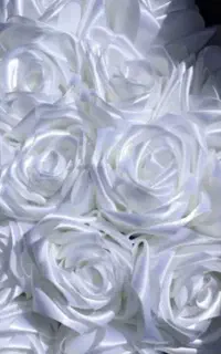 گل روبانی