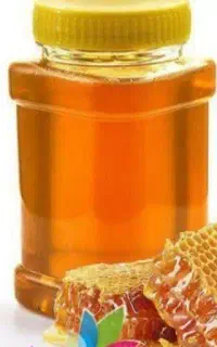 بهترین عسل طبیعی و خالص کوهستان