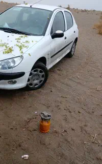 پژو206 تیپ دو