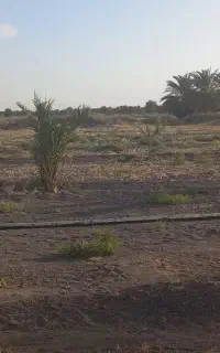 نیازمندسرمایه گذار برای کشاورزی