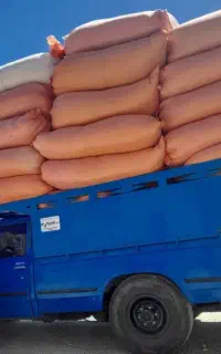 یونجه خرمنکوب شده و شلیف گرفته شده