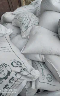بذر گندم صدرا سمپاشی شده