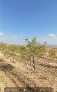 نیازبه سرمایه،پرورش گیاهان دارویی و زنبور عسل