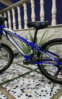 دوچرخه فروشی