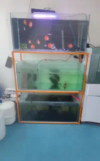 پایه سه طبقه آکواریوم  فیلتر سطلی جفت پوزه بوته ای