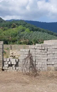زمین باغی