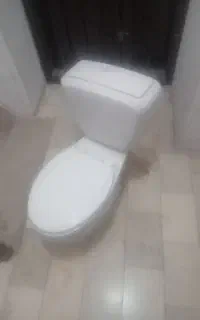 توالت فرنگی