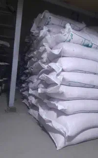 فروش عمده انواع گندم بذری.   آبی ودیم