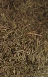 فروش مقداری آویشن تمیز وپاک مال امسال