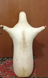 پوست نی انبان