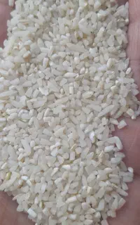 نیم دانه طارم هاشمی خالص