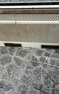 هود