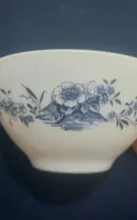 سرویس آرکوپال فرانسه