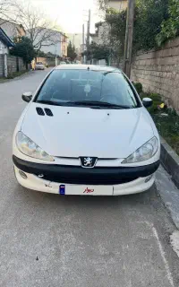 ۲۰۶ اس دی چند لکه رنگ