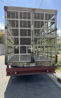 اویکو شش تن