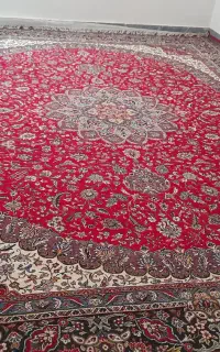 یک جفت فرش ۵۰۰ شانه سالم
