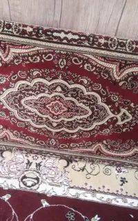 مقطع پشتی مجلسی