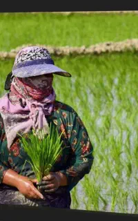 نشاگروتیم کن وپخش کن زن ومرد