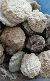 کشک (قوروت) گوسفندی بیرجندی