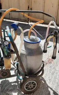 شیر دوش گاو برقی