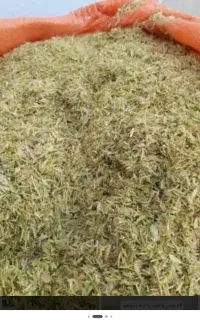 کاه عدس درجه یک بدون علف