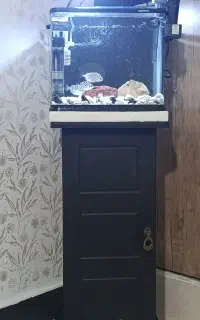 اکواریم