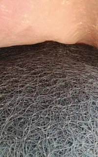 تورشیری پرژکتری