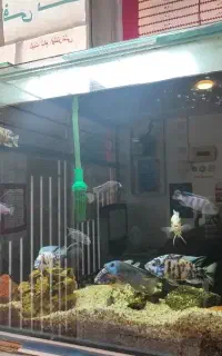 آکواریوم کامل