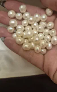 مروارید اصل گردنبند مروارید